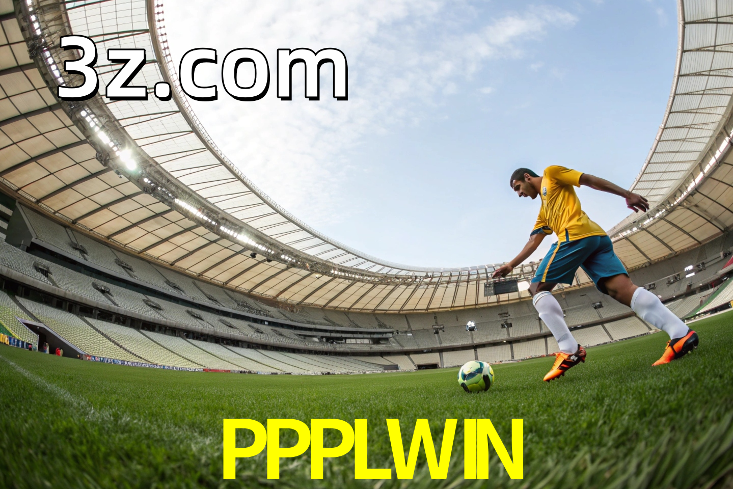 apostas esportivas